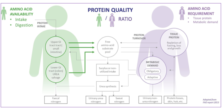 Protein quality