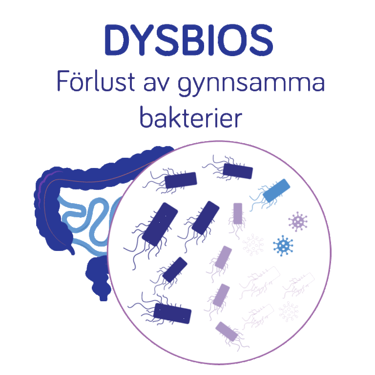 Förlust av gynsamma bakterier